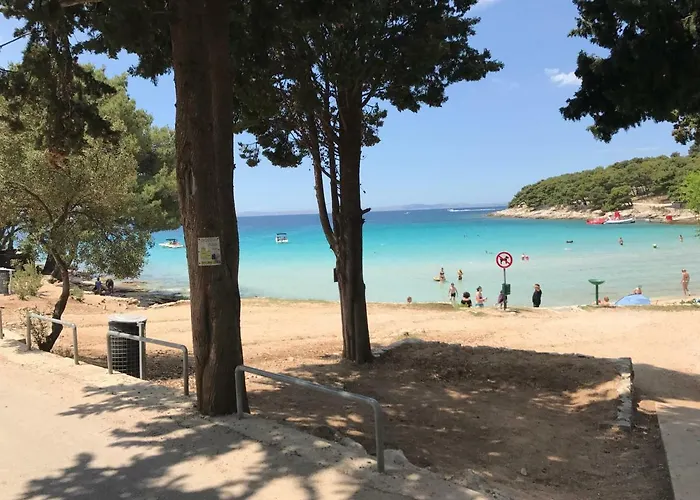 Miggelangelo * Tisno